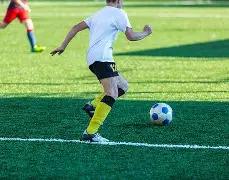 许光汉直言,愿做富豪家,的宠物犬,征途国际链接,征途国际官网地址,征途国际官方平台,征途国际入口站点